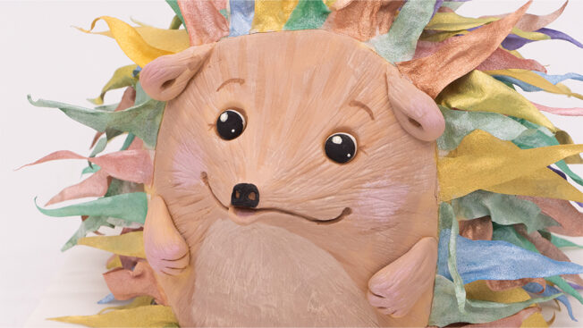 Hedgehog face