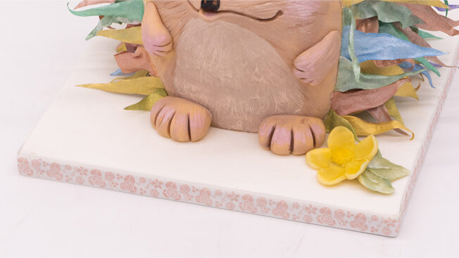 Hedgehog feet