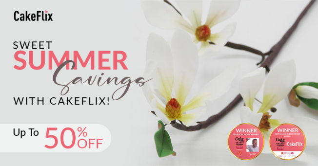 Summer Sale 50% OFF