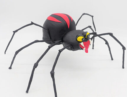 Spider