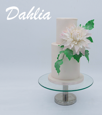 Dahlia archive