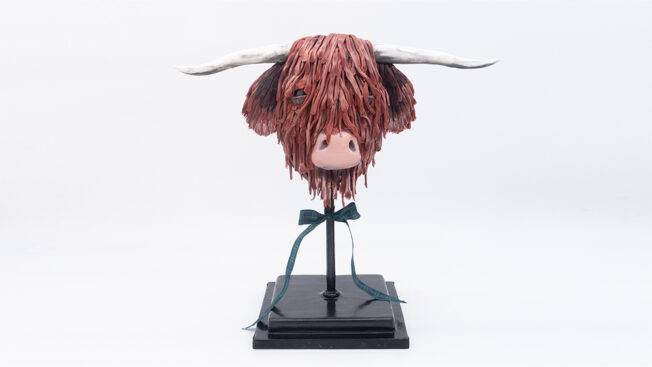 Highland Cow