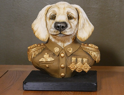 Military Dog Bust