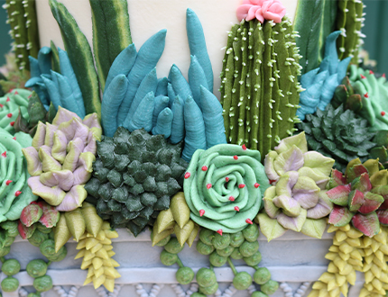 Succulent Garden