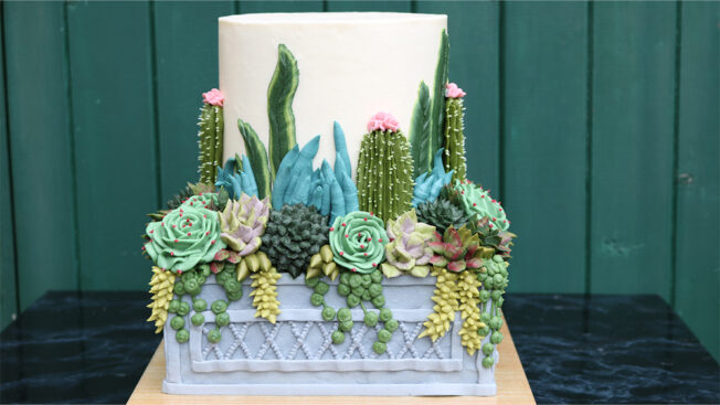 Succulent Garden