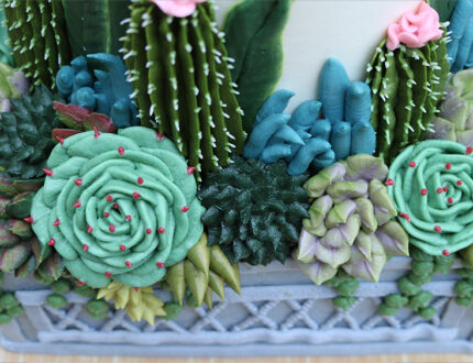 Succulent Garden