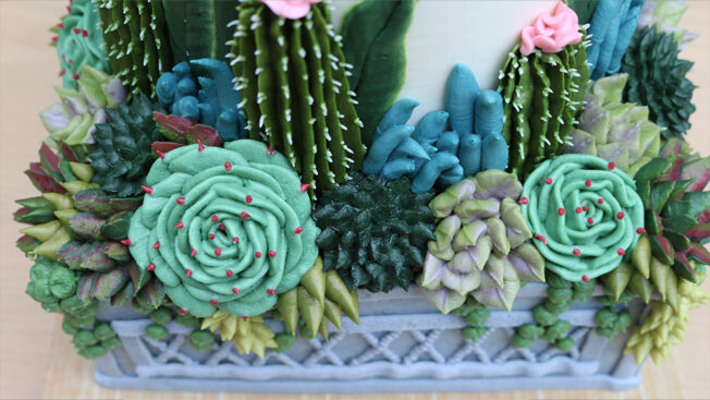 Succulent Garden
