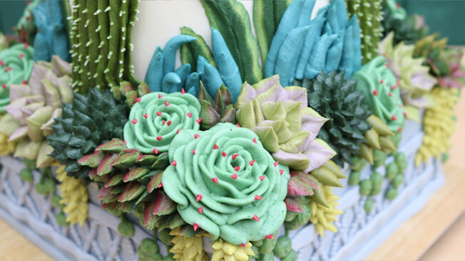 Succulent Garden