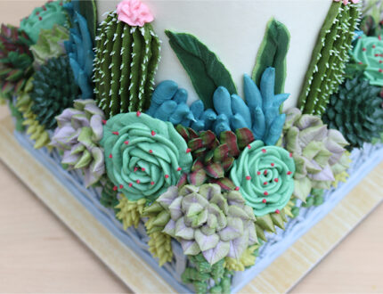 Succulent Garden