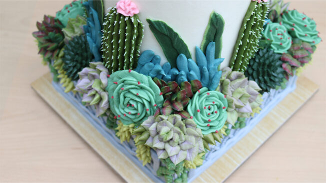 Succulent Garden
