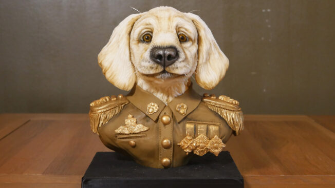 Dog Bust