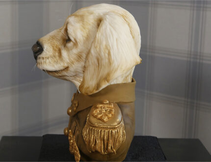 Military dog bust