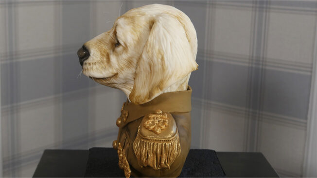 Military dog bust