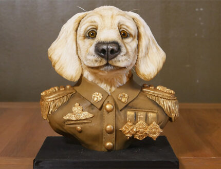 Military dog bust