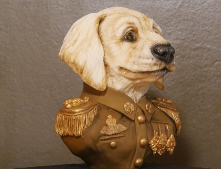 Military dog bust