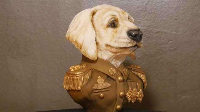 Military dog bust