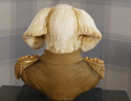 Military dog bust