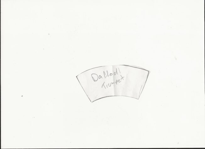 Daffodil
