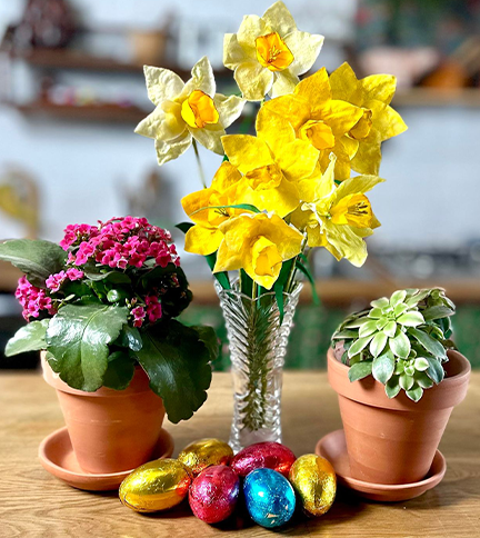 LIVE – Wafer paper daffodils