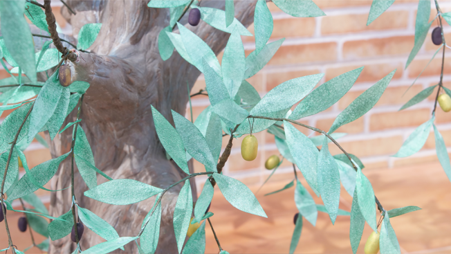 Olive tree