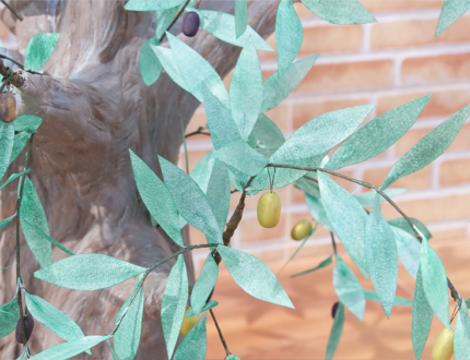 Olive Tree cake