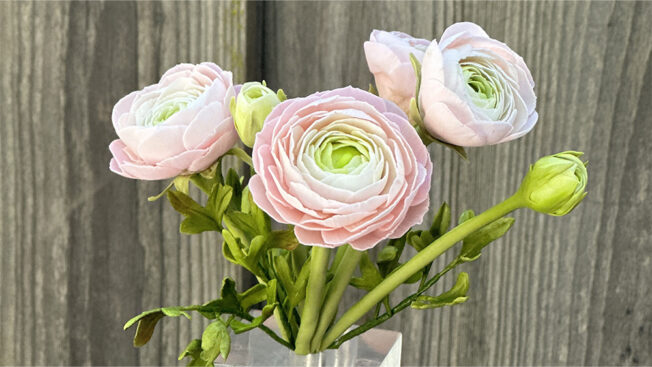 Ranunculus Sugar Flowers by Ashwini