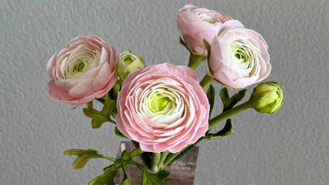 Ranunculus Sugar Flowers by Ashwini