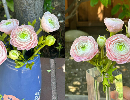 Ranunculus Sugar Flowers by Ashwini
