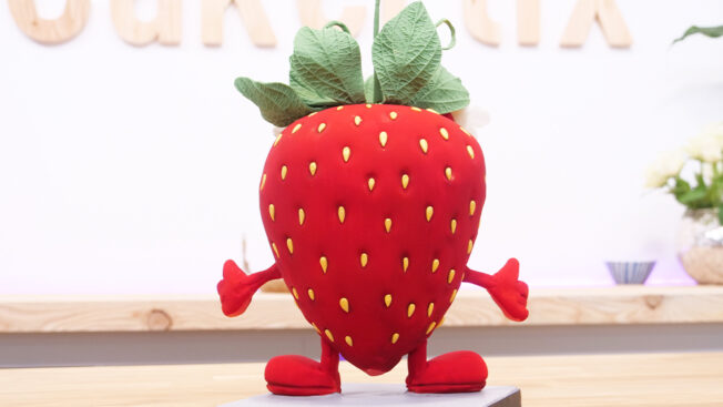 Mrs Strawberry Cake tutorial - back