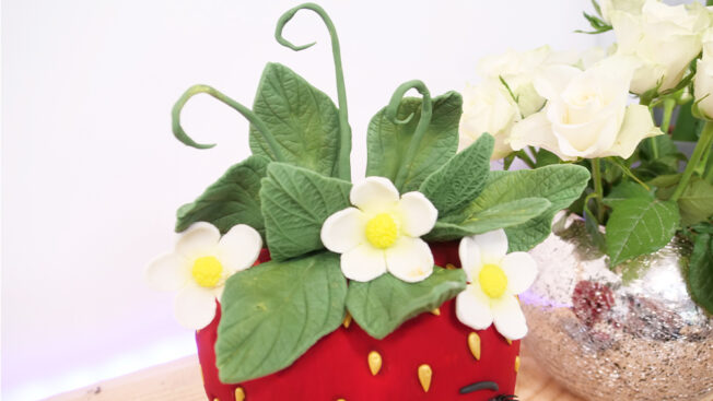 Mrs Strawberry Cake tutorial - husk