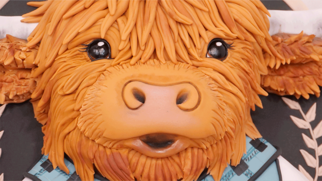 The Kilted Baker Highland Cow cake