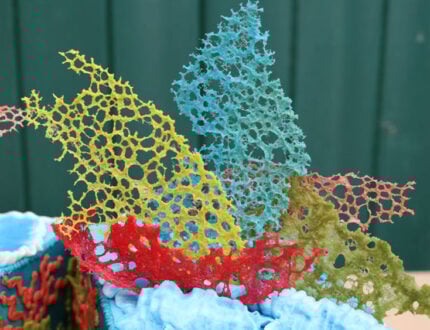 Under the sea in buttercream