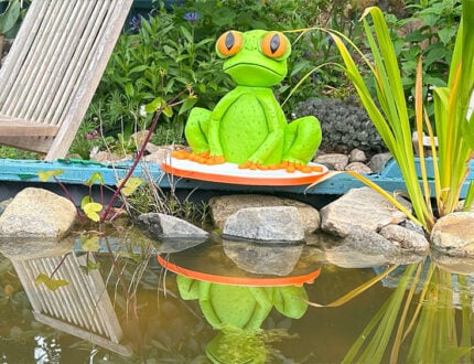 3D Frog Cake Tutorial