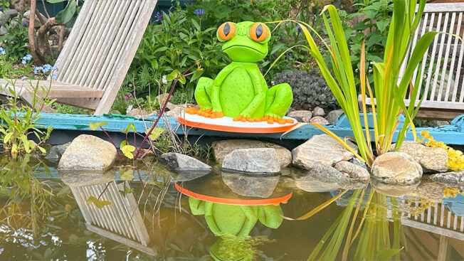 3D Frog Cake Tutorial