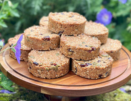 Wendy's Flapjacks