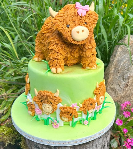 Highland Cow Farm
