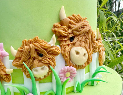 Highland Cow Farm cake tutorial