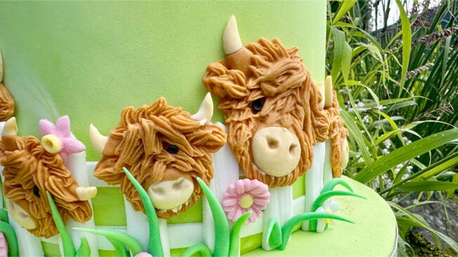 Highland Cow Farm cake tutorial