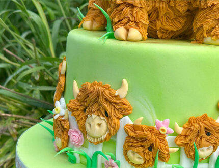 Highland Cow Farm cake tutorial