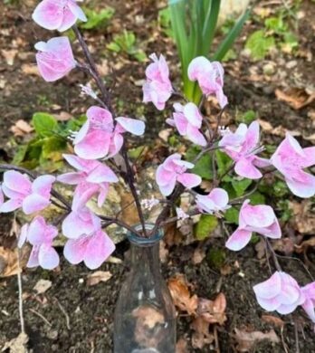 Easy Wafer Paper Cherry Blossoms