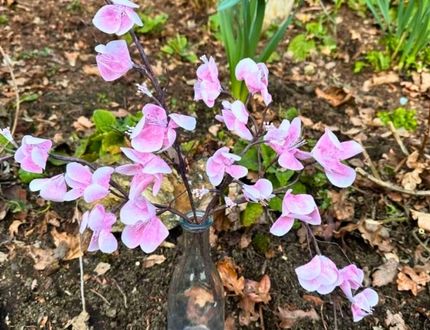 Easy Wafer Paper Cherry Blossoms: Step-by-Step Tutorial with Paul Bradford