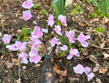 Easy Wafer Paper Cherry Blossoms