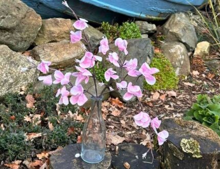 Easy Wafer Paper Cherry Blossoms