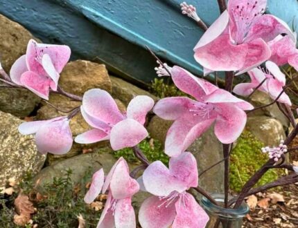 Easy Wafer Paper Cherry Blossoms