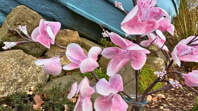 Easy Wafer Paper Cherry Blossoms