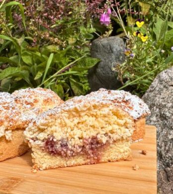 Raspberry Coconut Rounds with shortbread base, raspberry jam and coconut topping