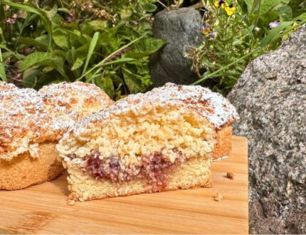 Raspberry Coconut Rounds with shortbread base, raspberry jam and coconut topping