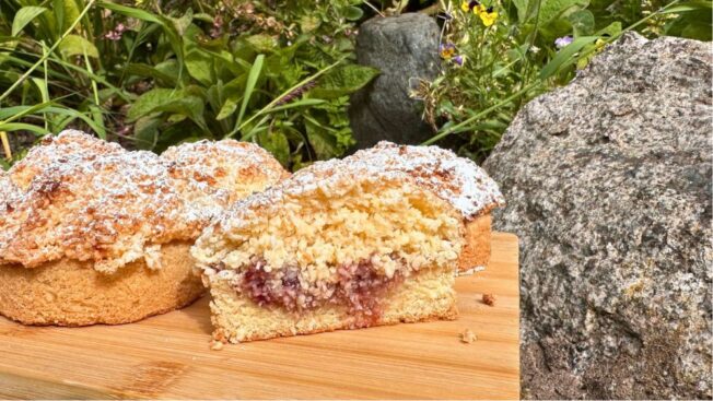 Raspberry Coconut Rounds with shortbread base, raspberry jam and coconut topping