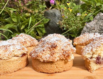 Raspberry Coconut Rounds with shortbread base, raspberry jam and coconut topping