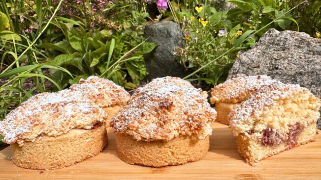 Raspberry Coconut Rounds with shortbread base, raspberry jam and coconut topping